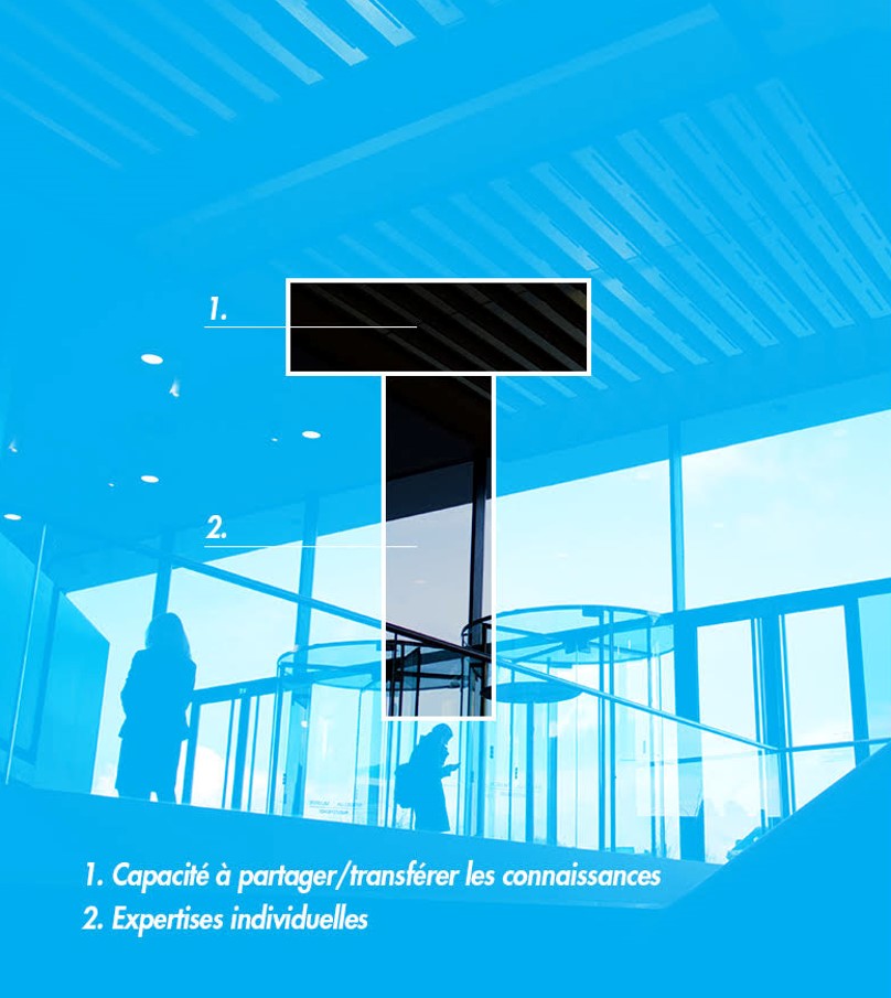 Les organisations T-Shaped